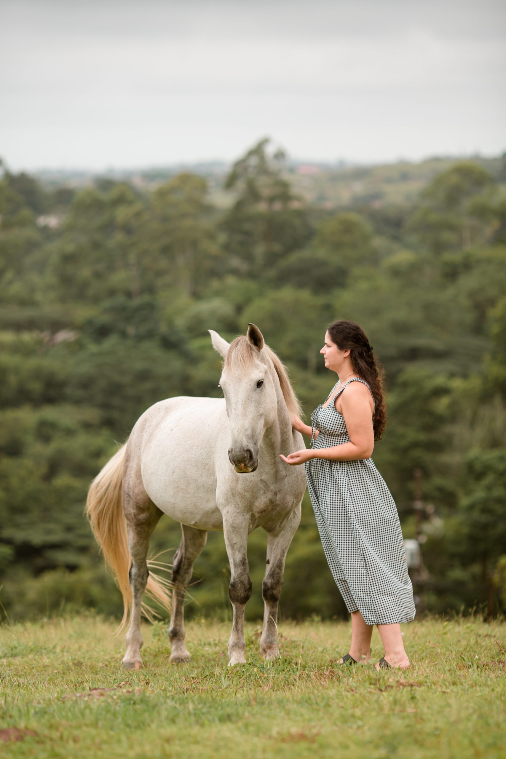 Grey horse and a lady